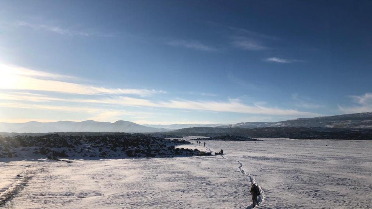 İçişleri Bakanlığı, terör örgütünün yurt içinden tamamen silinmesi hedefiyle başlatılan Yıldırım Operasyonları`nın 10 Ocak 2021’de tamamlandığını duyurdu.
