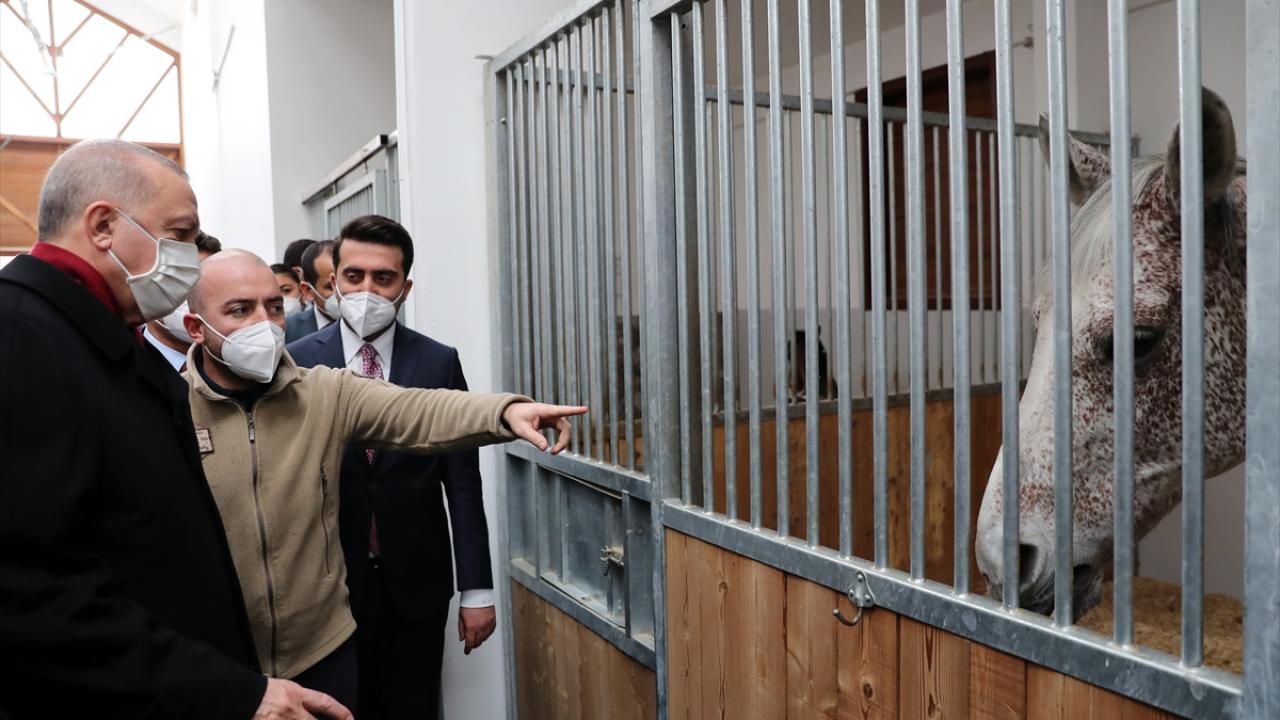 Ankara Geleneksel Sporlar Tesisi açılışına katılan Cumhurbaşkanı Recep Tayyip Erdoğan, açılış sonrası tesiste incelemelerde bulundu.