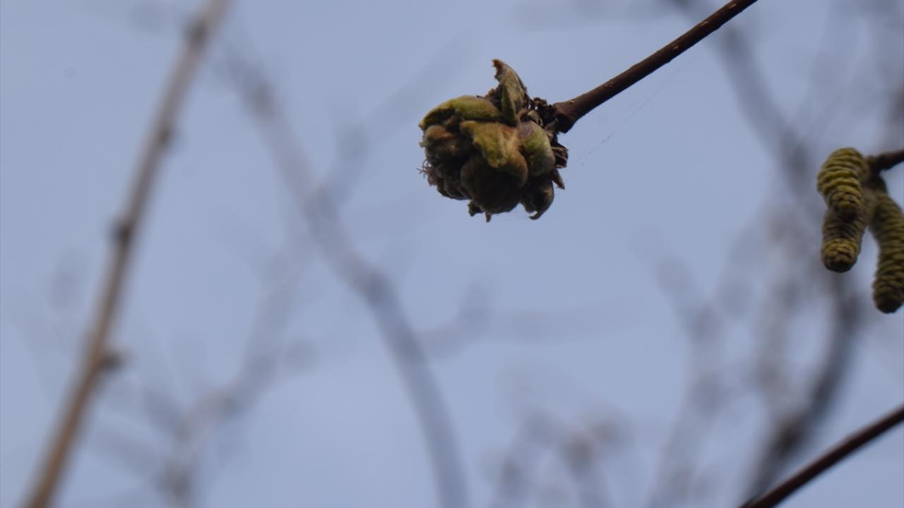 `Bu ileriki tarihlerde bir risk oluşturabilir`