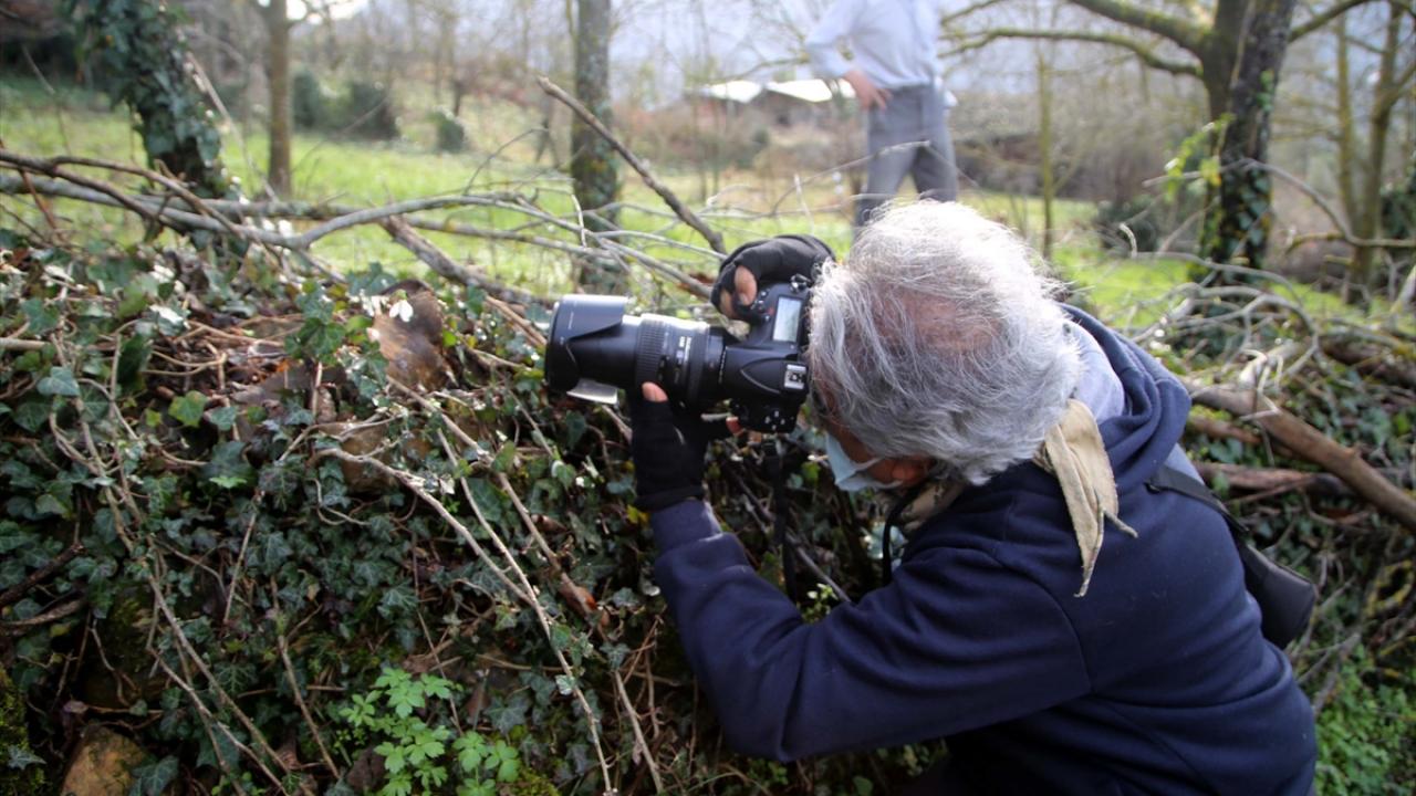 İlçeye bağlı Aşıklı köyünde yaşayan Yüksel Erdoğan, Küre Dağları`nda yer alan köylerinde kardelenlerin yoğun bir şekilde bulunan bir bitki türü olduğunu söyledi. 