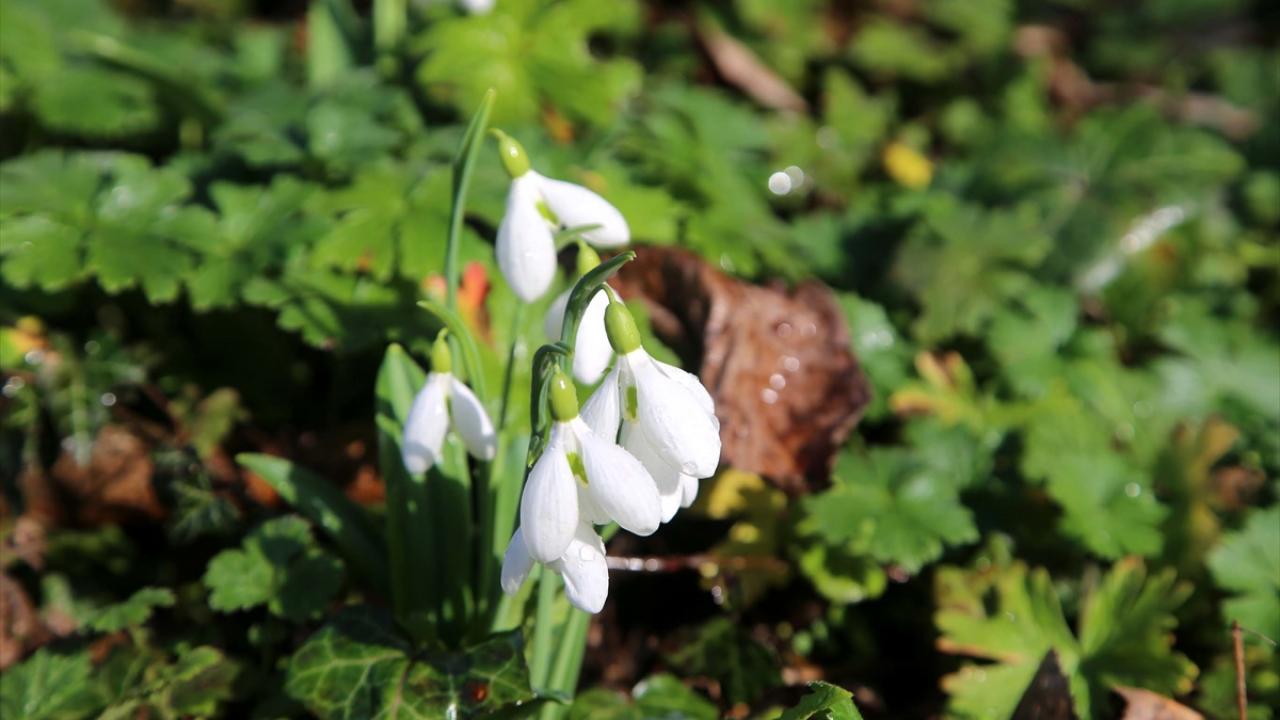 "Kış yaz gibi geçiyor"