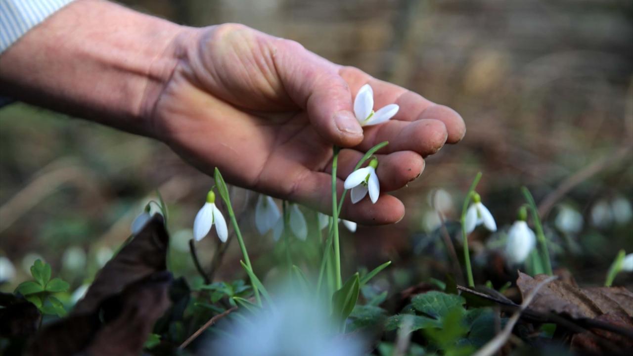 Doğa fotoğrafçısı Cebrail Keleş ise hava sıcaklıklarının herkesi kaygılandırdığını söyledi. 