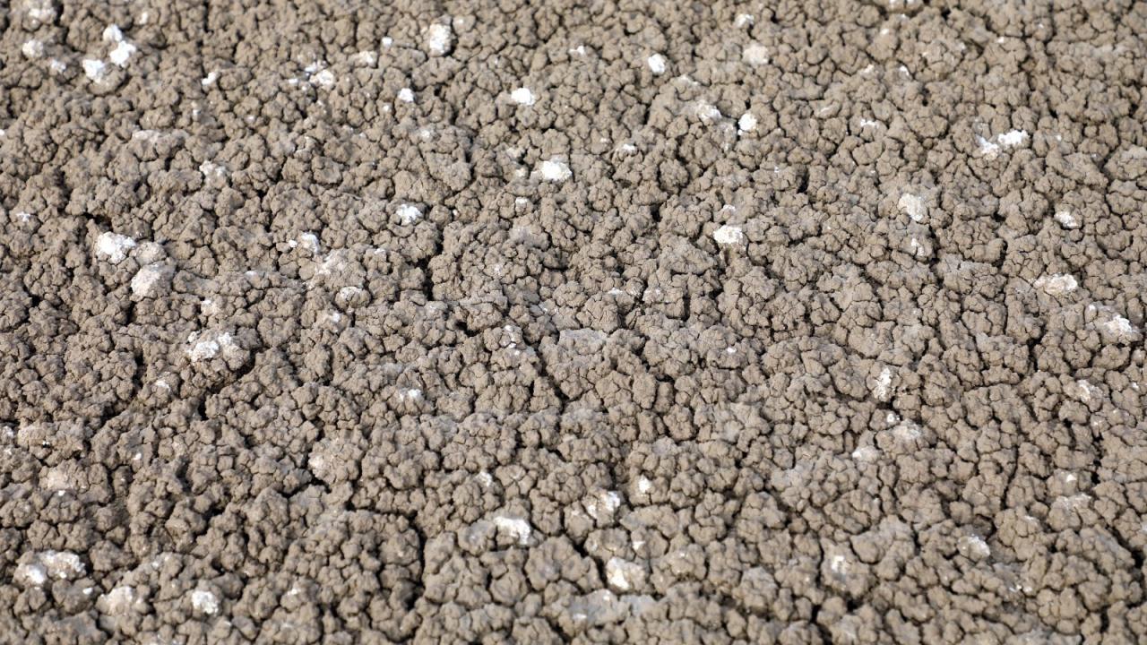 Barındırdığı 301 kuş türü ile Manyas Gölü`nden sonra Türkiye`nin ikinci önemli kuş cenneti Sultan Sazlığına 20 kilometre mesafede bulunan göl, yaşanan kuraklık ve mevcut suyun da tarlalara aktarılması nedeniyle susuz kaldı.