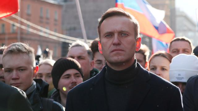 Rusyada Navalnynin kardeşi de gözaltına alındı