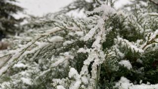 Ankara'da kar yağışı etkili oluyor