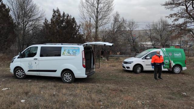 Köpek dövüşü yaptırdı, HAYDİ ekibi yakaladı