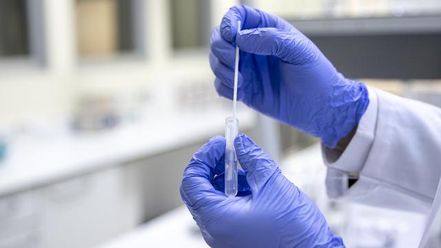 Türk bilim insanından mutasyonlu COVID-19u belirleyen hızlı test