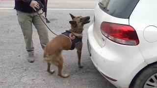 2020'nin en hassas burnu: Hera