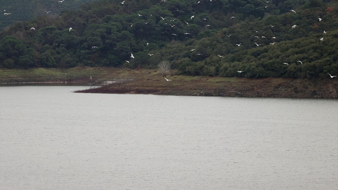 Barajlardaki su seviyesi