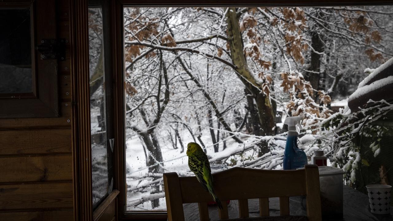 Eymir Gölü ve çevresi