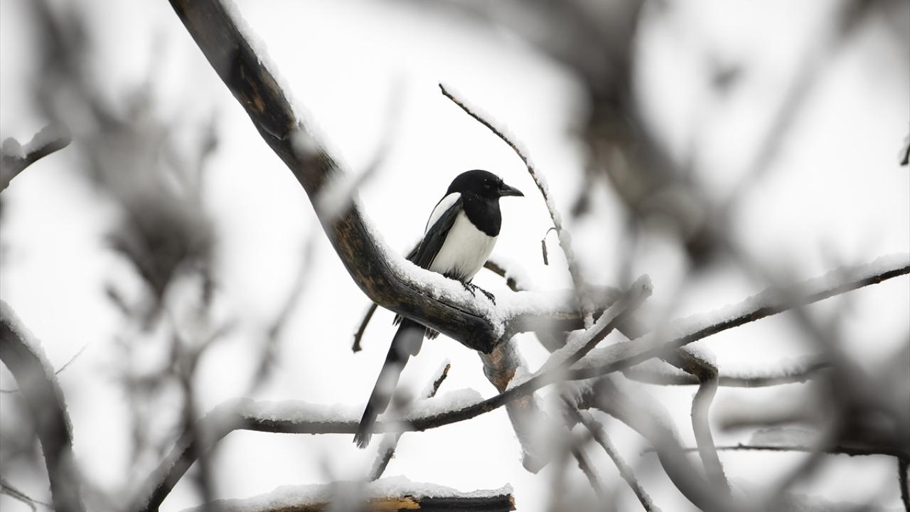 Eymir Gölü ve çevresi