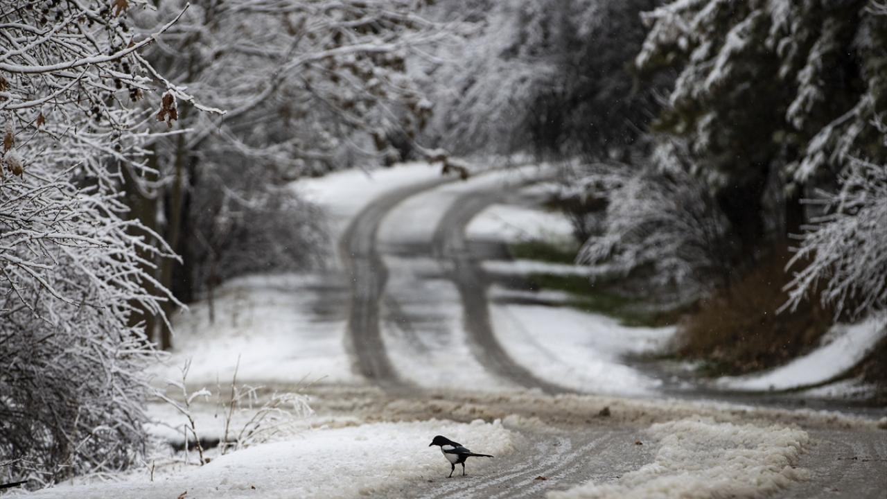 Eymir Gölü ve çevresi