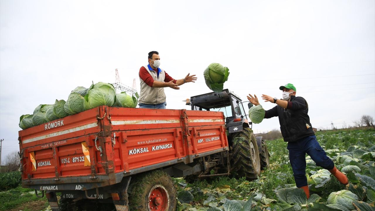 Mahsulün önceleri talebe göre çiftçilerin belirlediği fiyatı, şimdilerde Kaynarca Sebze Üreticileri Birliği tarafından tespit ediliyor.