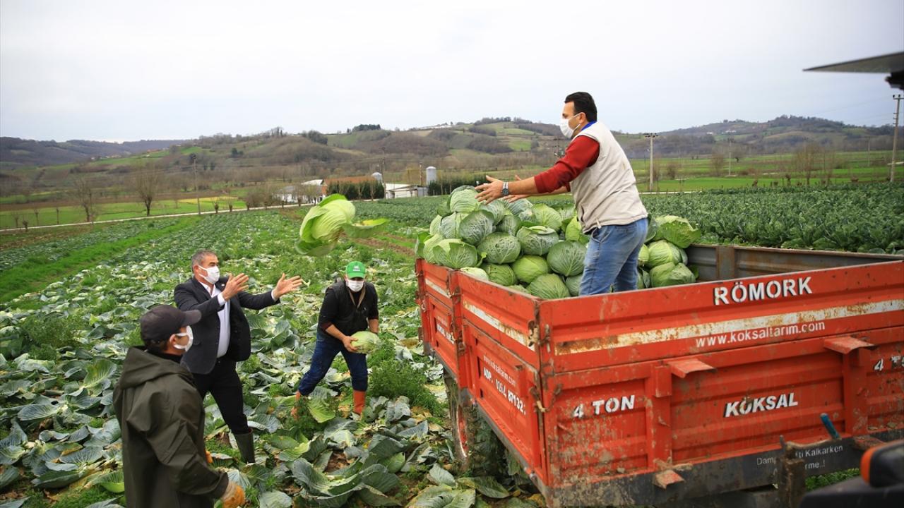 "Fiyatlar oldukça güzel, çiftçimiz memnun"