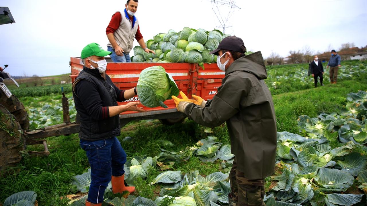 "Aracı olmayınca hem çiftçi hem de vatandaş kazanıyor"