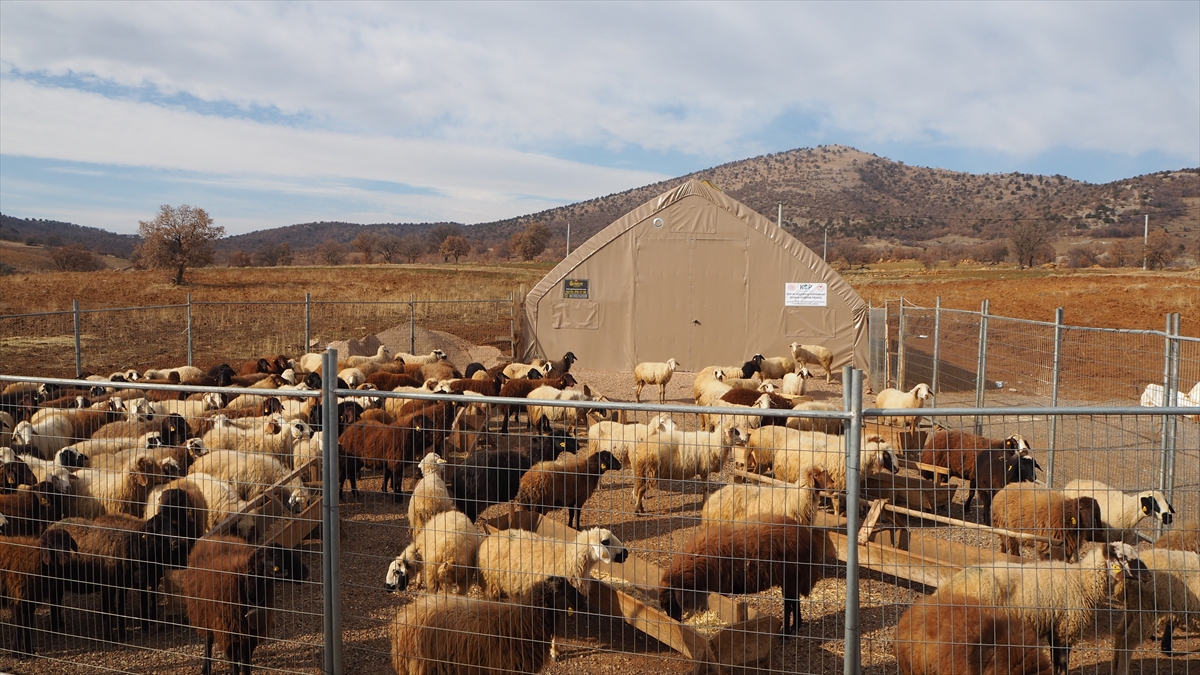 Konya`nın Çumra ilçesinde bir tarım işletmesinde işçi olarak çalışan Mehmet Borlu, Tarım ve Orman Bakanlığının Genç Çiftçi Projesi`nden yararlanmak için 2016 yılında İlçe Tarım ve Orman Müdürlüğüne başvurdu.