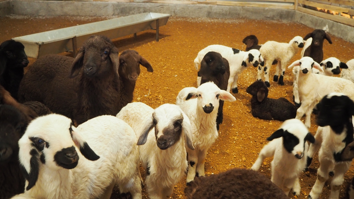 "Devletimizim bize verdiği can suyu ile oldu"