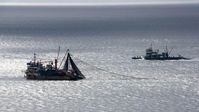 Yasa dışı balık avına 11 milyon lira ceza