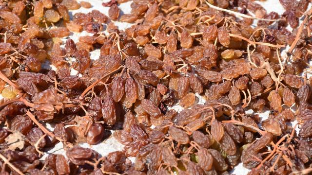 Egede tarım ihracatı 5 milyar doları aştı