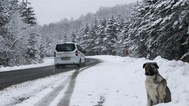 Kütahyada kar yağışı ulaşımı olumsuz etkiliyor