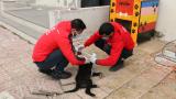 Hizan'da yaralı köpeği gençlik merkezi çalışanları sahiplendi