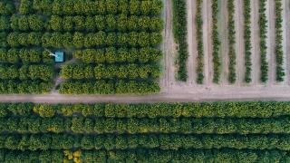 Tarımda destekler katlanarak arttı, Cumhuriyet rekoru kırıldı