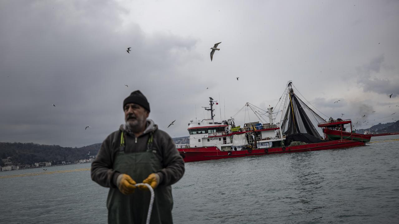 Mevsim balıkları tutuyorlar 