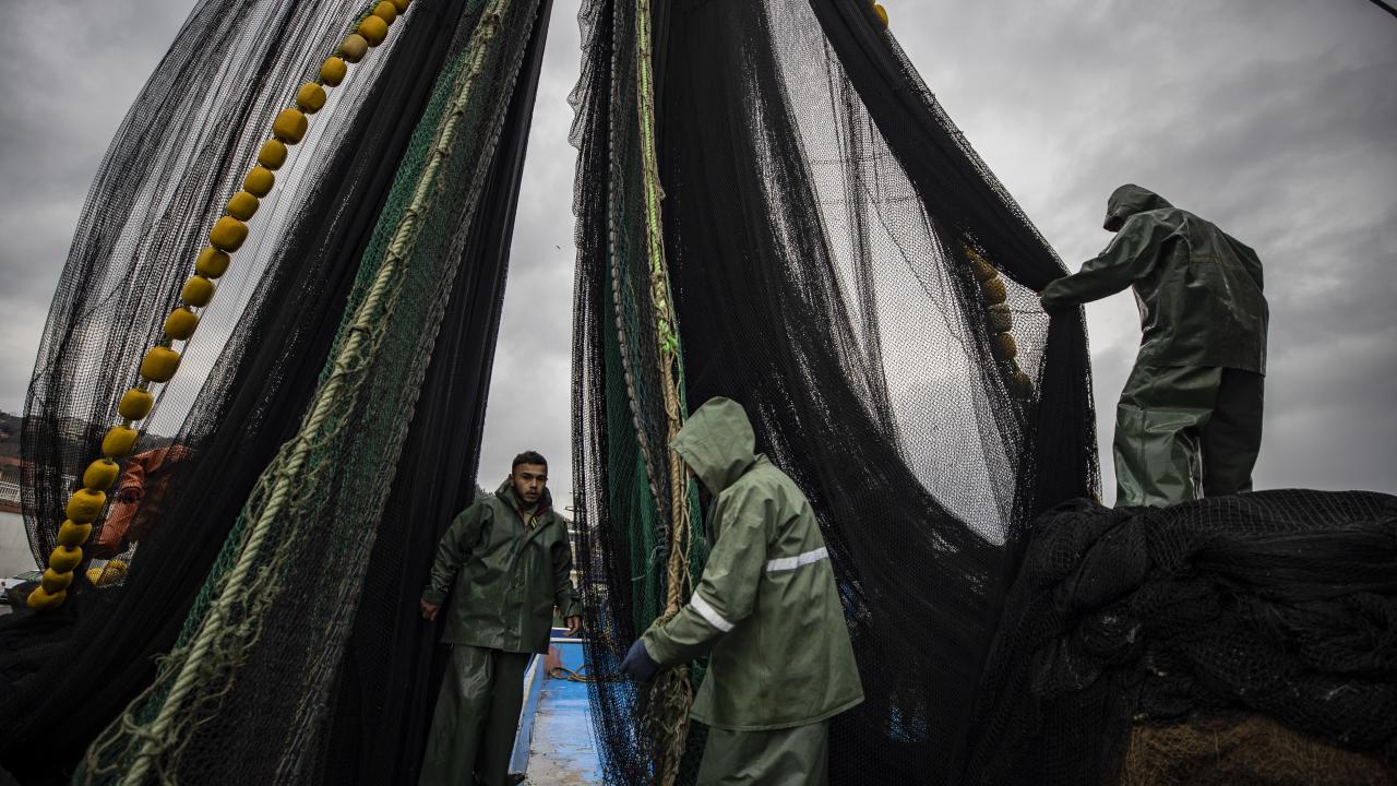 "İstanbul Boğazı`nda avlanılma yapılan yerler yasal"