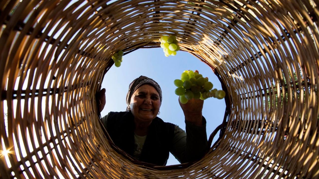 Bilir`in bağ bozumundan pekmez yapımına uzanan öyküyü fotoğraflarla anlattığı sanal serginin açılışına Sille Sanat Sarayı üyeleri yoğun ilgi gösterdi.