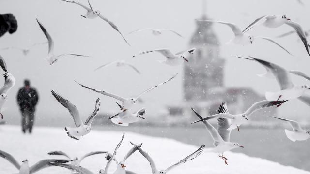 İstanbula kar ne zaman yağacak? Hava nasıl olacak? İstanbul hava durumu...