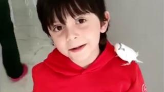 Elazığ'da kazada kaybolan kuş, ailesine teslim edildi