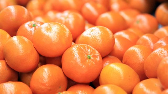 Narenciye ihracatını mandalina sırtladı