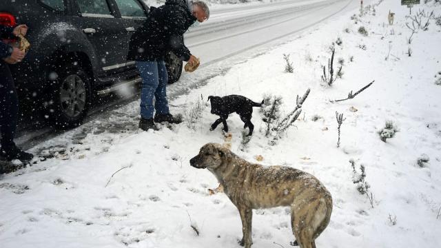 Bursa ve çevre illerde kar yağışı etkili oluyor