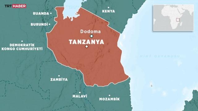 Tanzanyada domuz gribine rastlandı