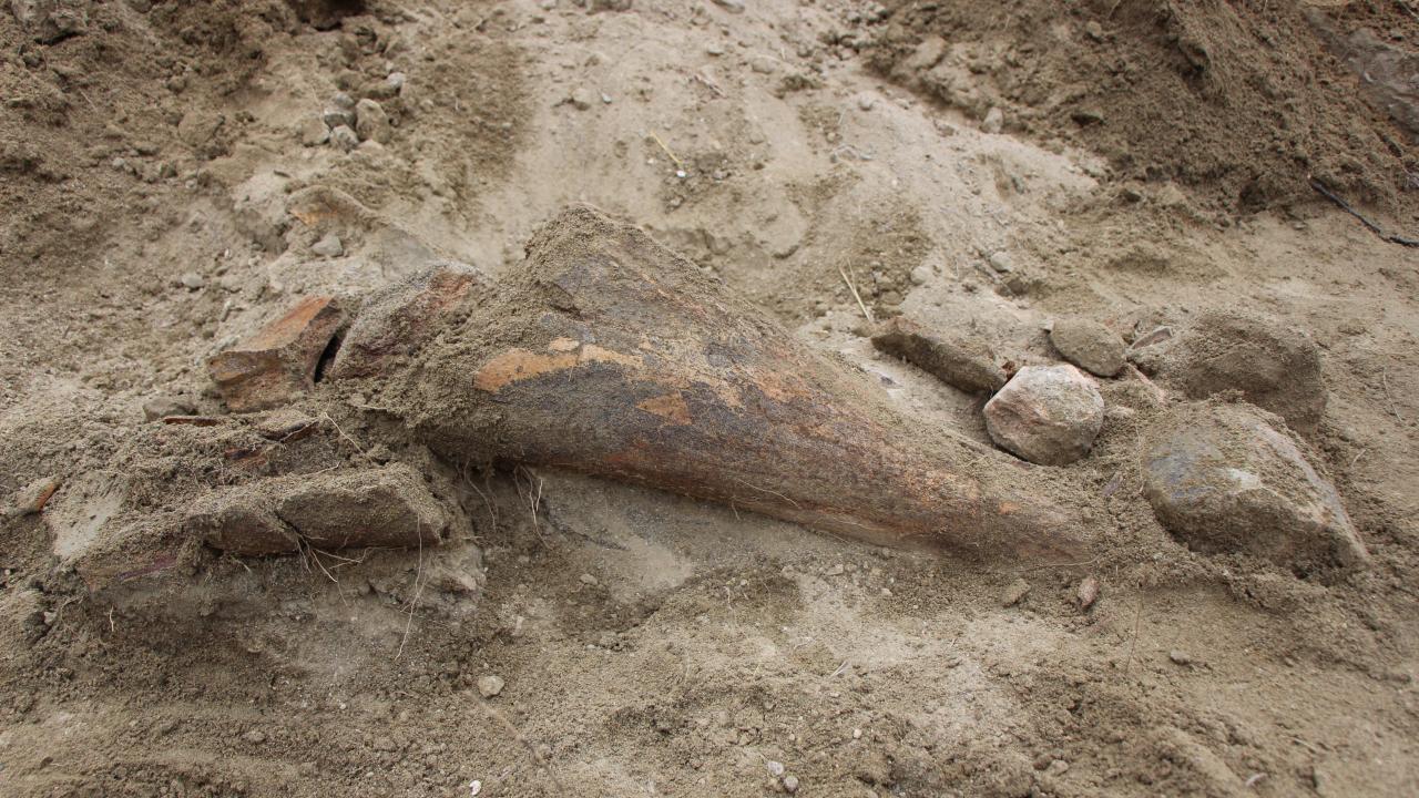 "Yetkililerin bunu araştırmasını bekliyoruz”