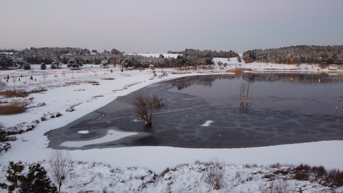Beyaz örtüyle kaplanan göletin kıyısına gelen ziyaretçiler, manzarayı seyrederek kar topu oynadı.