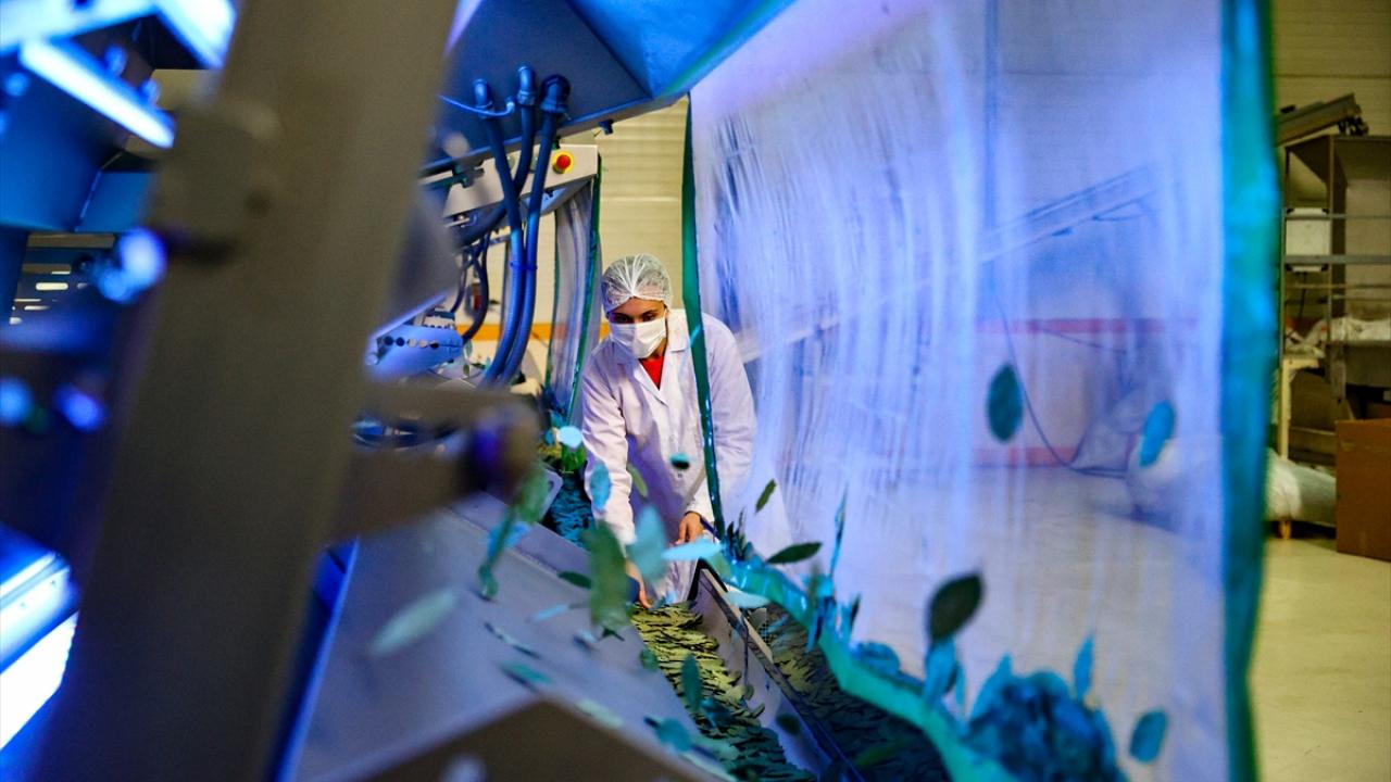 2021`de yüzde 20 artış bekleniyor