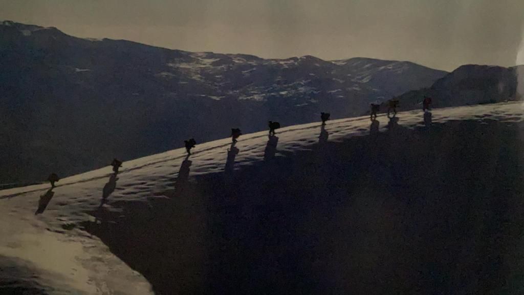 Bölücü terör örgütünü tamamen ülke gündeminden çıkarmak ve bölgede barındığı değerlendirilen teröristleri etkisiz hale getirmek için ilki Tendürek’te başlayan Eren Operasyonları`nın devamı Lice’de gerçekleştiriliyor.