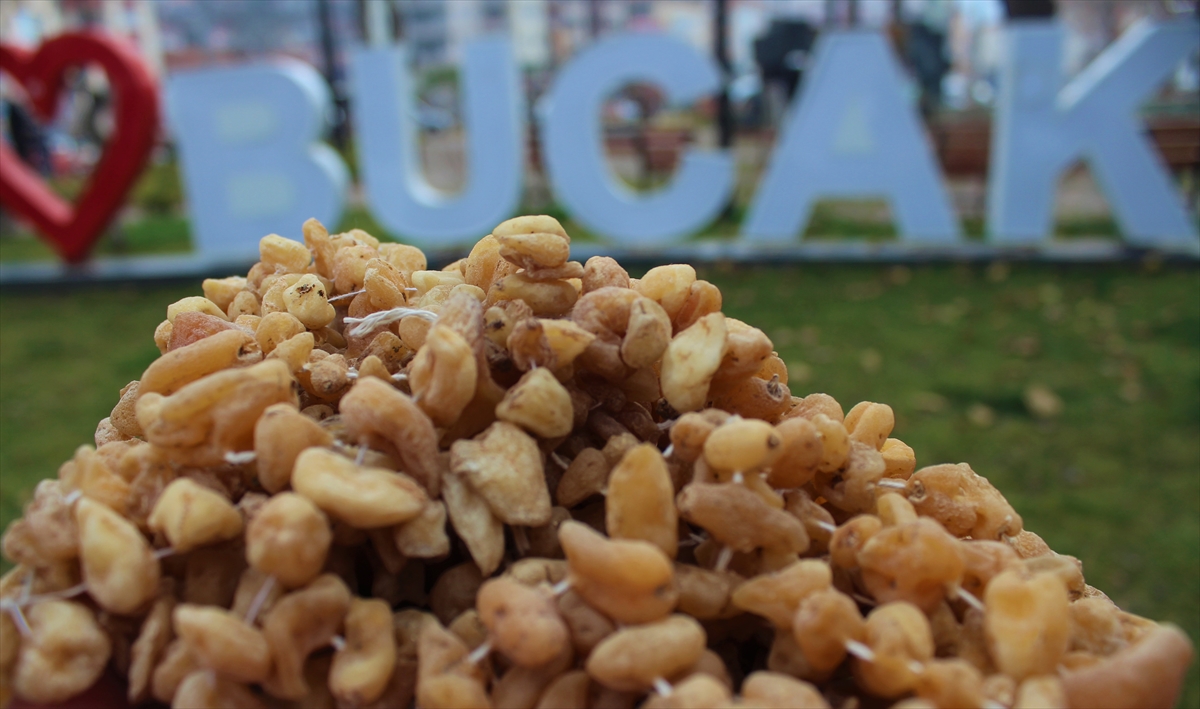 Bucak Belediye Başkanı Emrullah Ünal, yaptığı açıklamada, Bucak`ın saleple anıldığını söyledi.