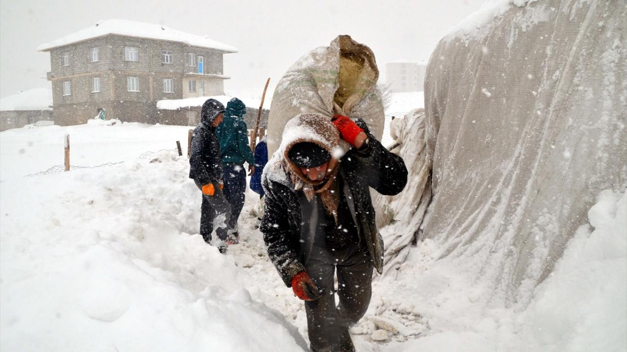 Bölgede etkisini sürdüren kar ve tipi, hayvancılık yaparak geçimlerini sağlayan besicilerin zor anlar yaşamalarına neden oluyor. 