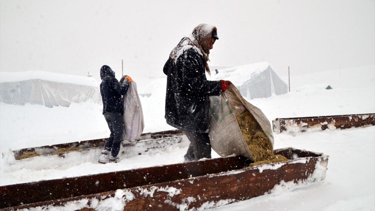 Ağaçlık köyünde besicilikle uğraşan Kerem Aktaş, yazın yaylalarda besledikleri hayvanlara kış boyunca ahırlarda baktıklarını söyledi. 