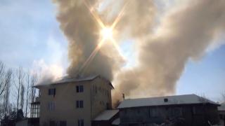 Alevlerin arasında kalan kediyi itfaiye ekipleri kurtardı