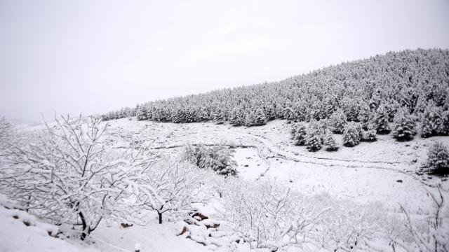 Kahramanmaraşta kış
