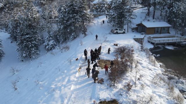 Bilecikte yaban hayvanları için doğaya yem bırakıldı