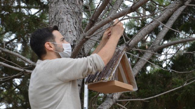 Kuşların yuvasını öğretmenler kurdu