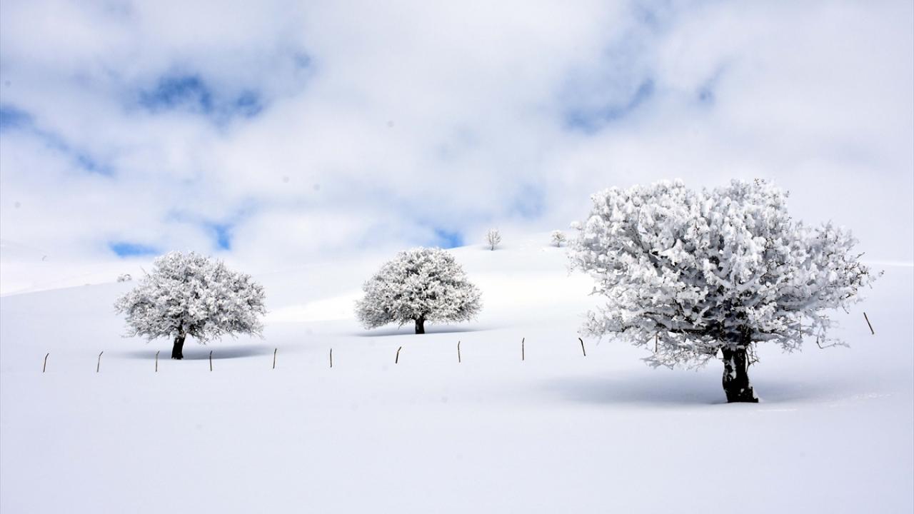 Muş`ta kar nedeniyle 97 köy yolunun ulaşıma kapandığını belirtti.
