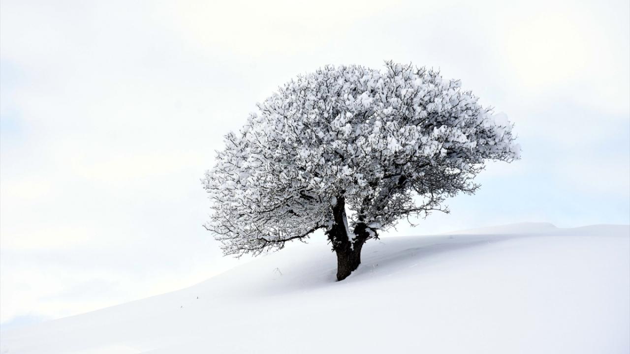 Karla mücadele ekiplerinin kapalı yolların açılmasına yönelik çalışmaların sürüyor.