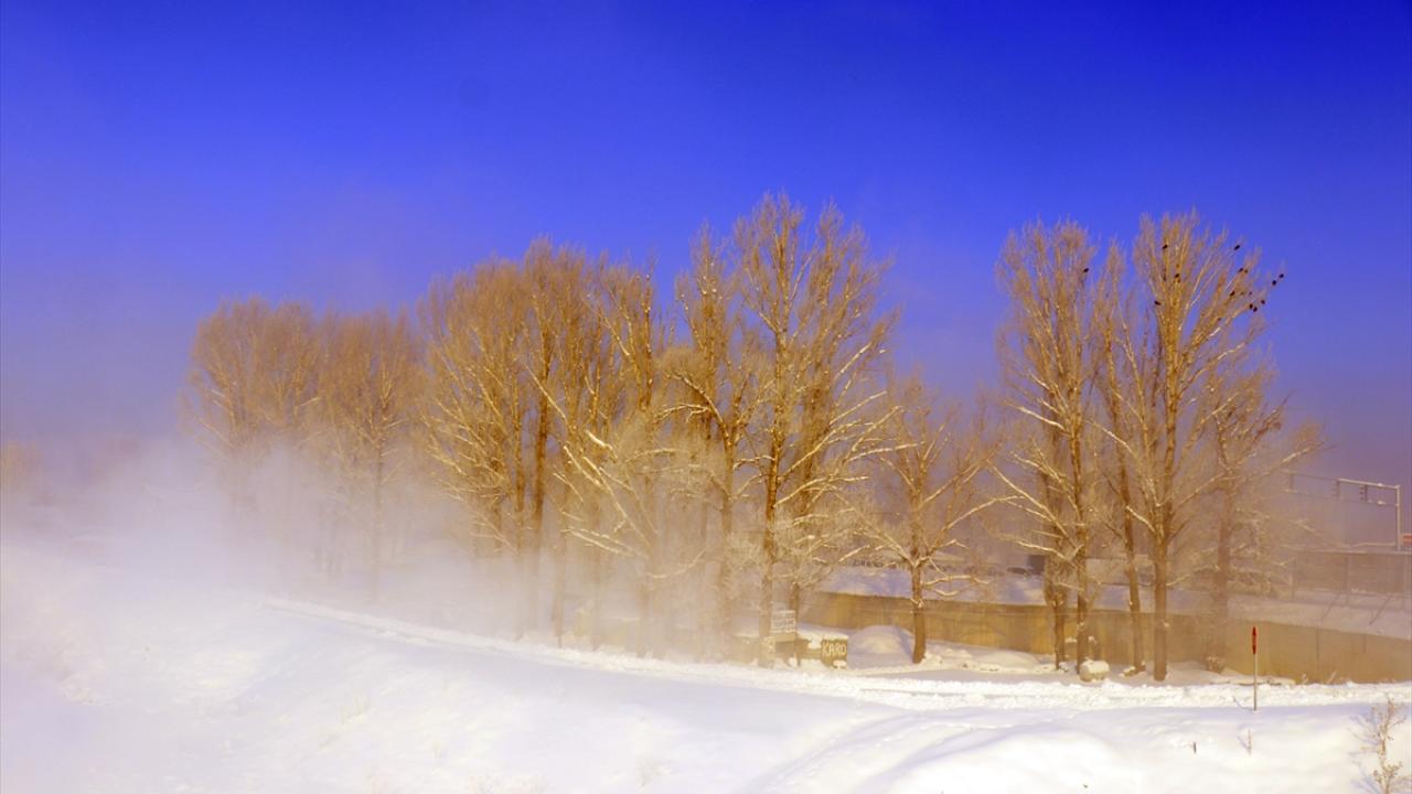 Ağrı`da ağaçlarda kırağı oluştu.