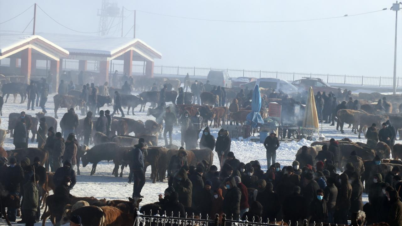 Ağrı`da hayvan pazarına hayvanlarını satmaya getiren besiciler de soğuklardan etkilendi.