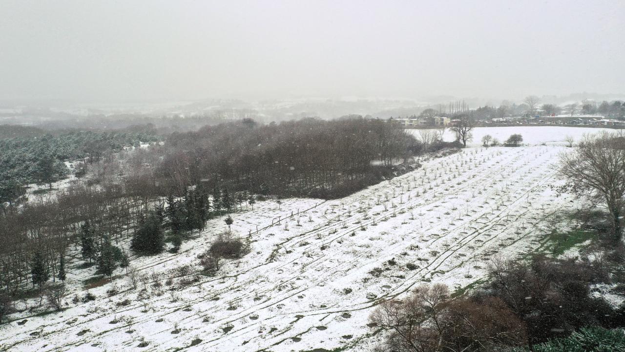 Darlık Barajı doluluk oranı yüzde 49,51.